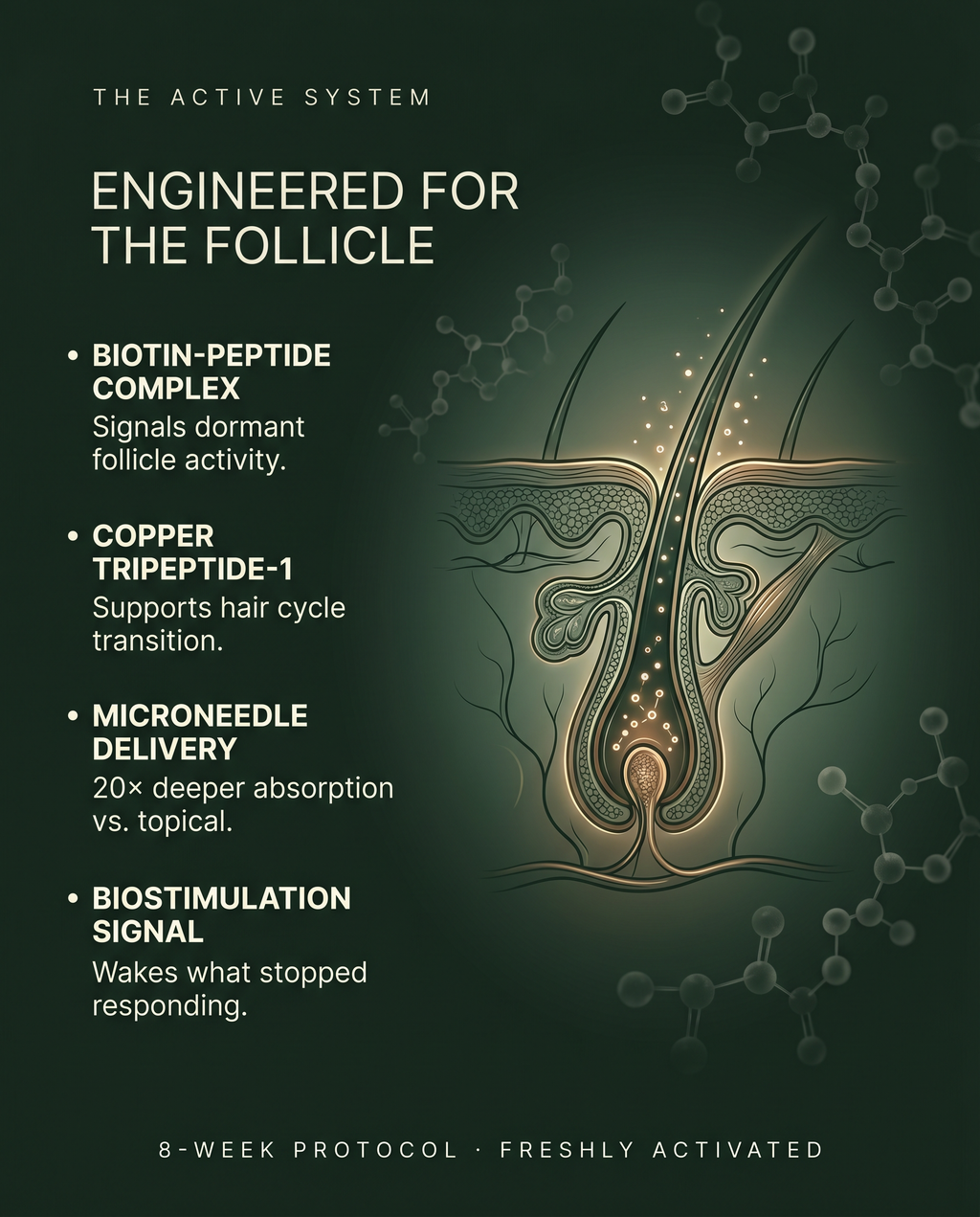 PROTOKOL 01 — ROOT SIGNAL
