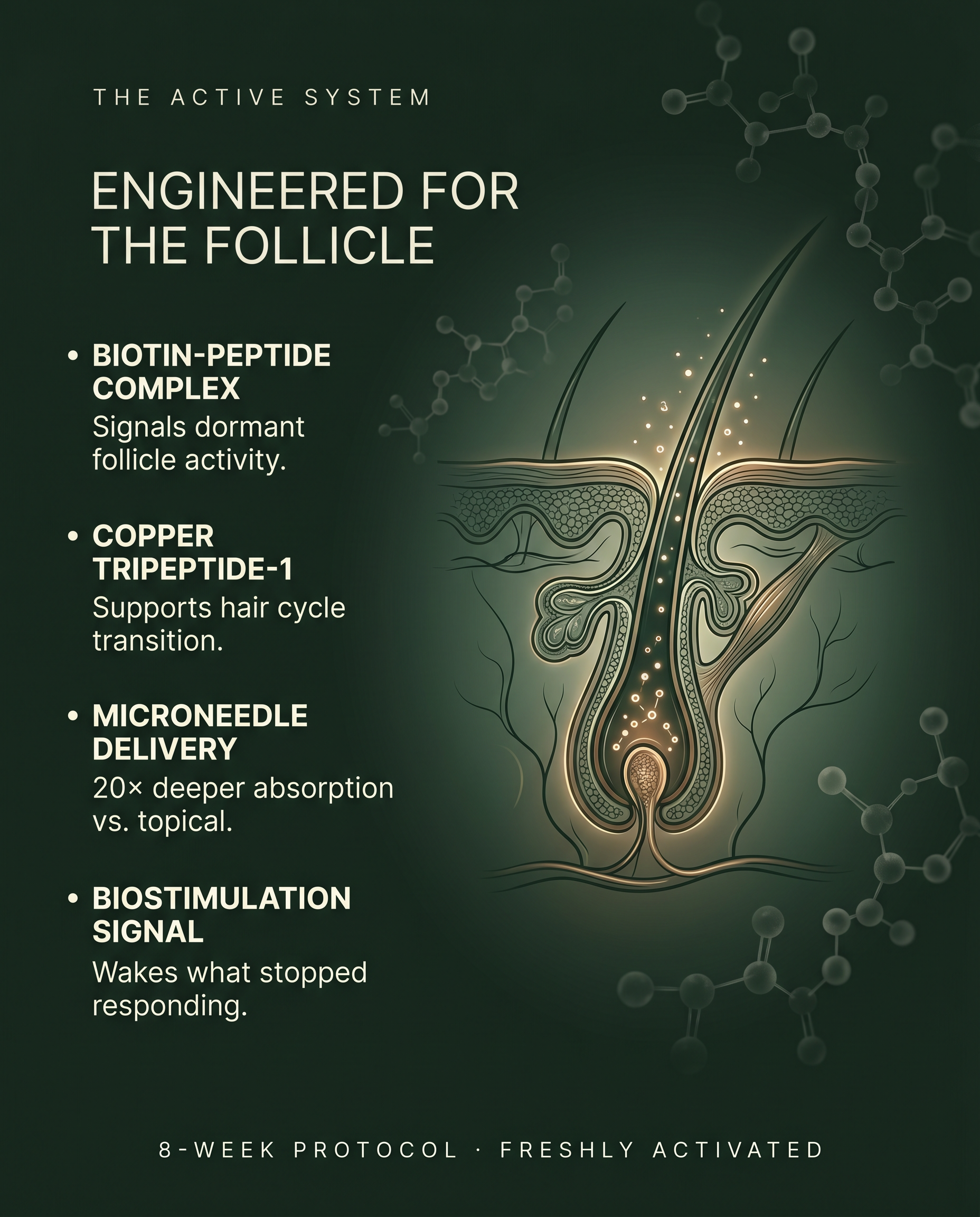 PROTOKOL 01 — ROOT SIGNAL